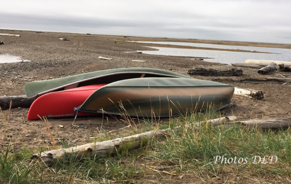 w-Canoes at Tuktoyaktuk - canots Tuktoyaktuk